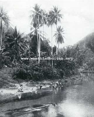 Jamaica, 1927, Onbekend, Het mooie Jamaica. Aan de Rio Cobre op Jamaica