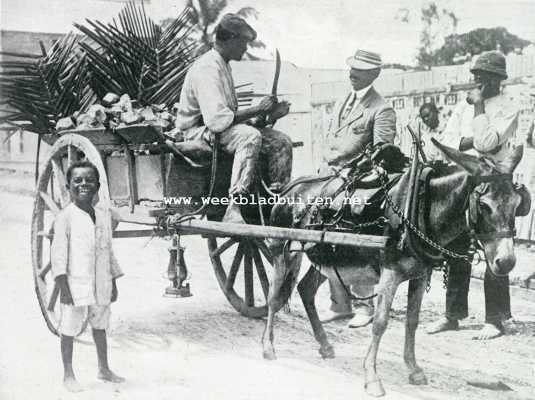 Jamaica, 1927, Kingston, Het mooie Jamaica. Cocosnootverkooper te Kingston