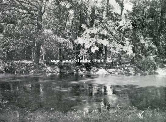 Utrecht, 1928, Onbekend, Aan en bij de Luntersche Beek. De Luntersche Beek in het bosch van Lockhorst