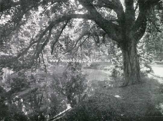 Utrecht, 1928, Onbekend, Aan en bij de Luntersche Beek. In het park van Nimmerdor