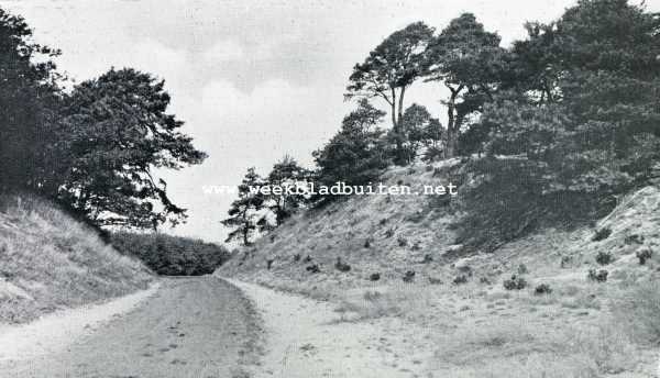 Overijssel, 1928, Beerze, Beerse en zijn belten. Toegangsweg tot de Beerser Belten