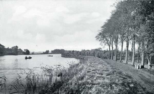 Noord-Holland, 1928, Onbekend, Vogelfotografie op het eiland Texel. Broedende kluit