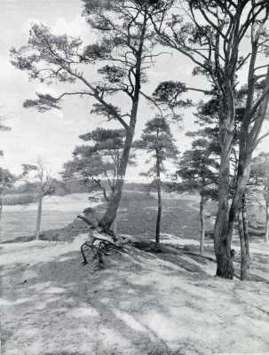Utrecht, 1928, Zeist, Zandverstuiving in het natuurpark 
