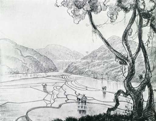 Indonesi, 1928, Onbekend, Bespiegelingen bij de spiegelingen van het Toba-meer. Sawah's tusschen de bergen