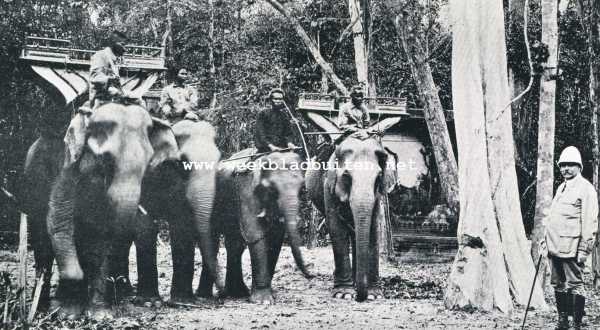 In het hart van Cambodja. Olifanten in Fransch Indo-China