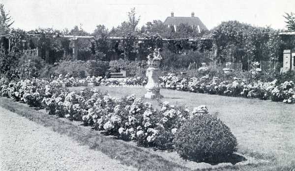 Noord-Holland, 1928, Laren, Het gazon en de eischen voor een goed onderhoud. Een gazon, met rozen omlijst te Laren
