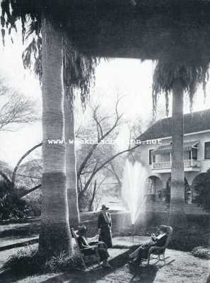 Amerika, 1928, Onbekend, Winter in den staat Arizona. Het zachte klimaat maakt den groei van palmen mogelijk