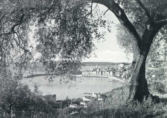 Oude steden aan de Cte d'Azur. Gezicht op het oude Menton onder de olijfboomen door