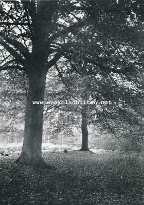 Utrecht, 1929, Maartensdijk, TRUFFELS OKTOBER OP EYCKENSTEIN, MAARTENSDIJK