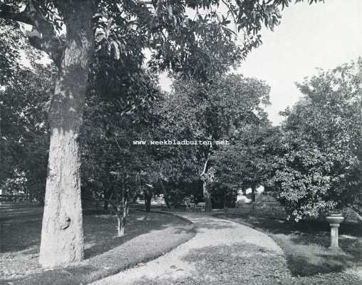 Indonesi, 1929, Onbekend, Een Indisch-Europeesche woning. De oprit aan de voorzijde