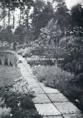 Onbekend, 1929, Onbekend, Mijn eigen tuin. Border. Drie maande na het planten. Er voor tegelpad. Aansluitend aan een grasveld, waarin enkele groepen lage vaste planten zijn aangebracht als overgang naar een minder rechtlijnig gedeelte van den tuin
