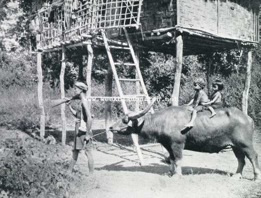 Onbekend, 1929, Onbekend, Hoe 