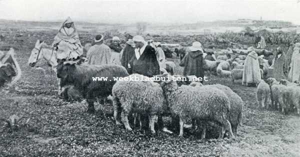 Marokko, 1929, Tanger, Tanger. Een oud-Testamentisch tafereel