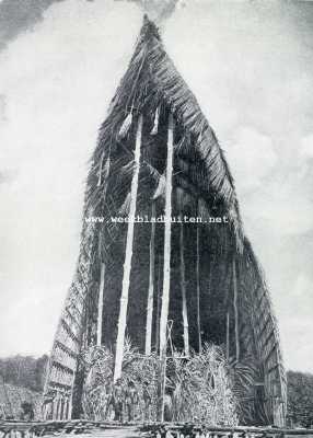 Onbekend, 1929, Onbekend, Uit het land en het leven der Papoea's. Een 