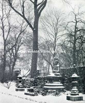 Noord-Holland, 1929, Amsterdam, Artis in de sneeuw. Artis . Een besneeuwde Lotos in de hand