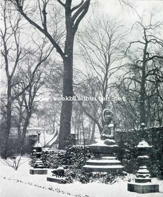 Artis in de sneeuw. Artis . Een besneeuwde Lotos in de hand