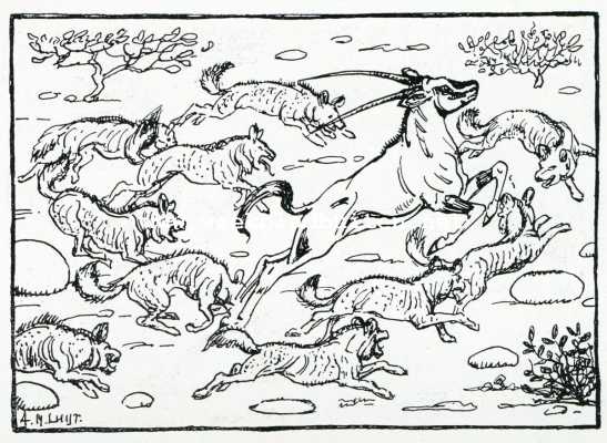 Onbekend, 1929, Onbekend, Wilde honden
