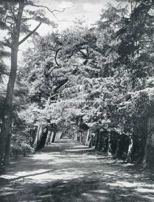 Noord-Holland, 1929, Schoorl, Bij Schoorl