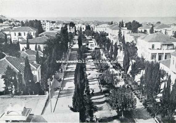 Isral, 1929, Tel Aviv, De Boulevard Rothschild te Tel-Aviv