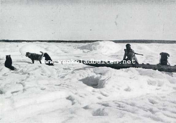 Onbekend, 1929, Onbekend, Eskimo-honden. Met de hondenslee