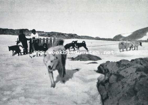 Onbekend, 1929, Onbekend, Eskimo-honden. Eskimo-kinderen, spelend met sleden en poolhonden
