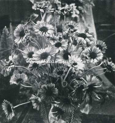 Onbekend, 1929, Onbekend, Decoratieve bloemen