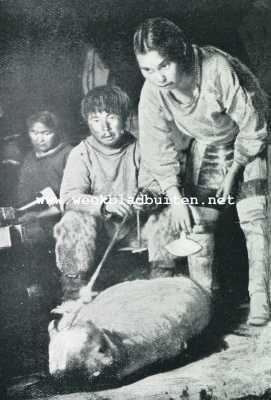 Onbekend, 1929, Onbekend, By de Smithsund-Eskimo's. Interieur van een Eskimowoning, op den voorgrond de zeehond, die straks verorberd zal worden