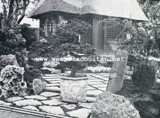 Onbekend, 1929, Onbekend, Japansche dwergboompjes. Een miniatuur lusthof