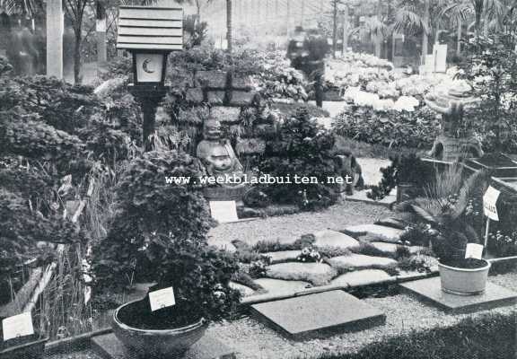 Onbekend, 1929, Onbekend, Japansche dwergboompjes. Liliput in de natuur