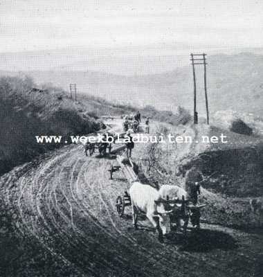 Roemeni, 1929, Onbekend, Roemeni. Transport van boormaterialen naar de olievelden van Bustenari