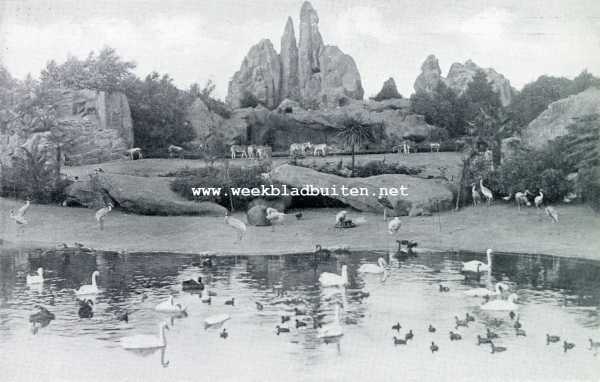Duitsland, 1929, Stellingen, Het landschap bij Hagenbeck. Te water en te land in Hagenbeck's dierenpark
