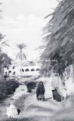 Tunesi, 1930, Chenini Nahal, Van een zee- en strand-oase. Gezicht op El Chenini. Een 
