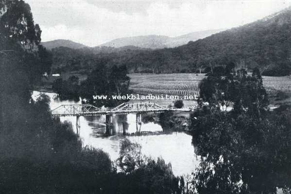 Australi, 1930, Onbekend, Kijkjes in het vijfde werelddeel. Junction Bridge in N.-Z. Wales