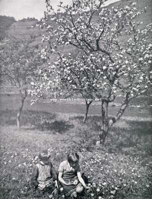 Duitsland, 1930, Onbekend, Hoe het bloeit in het Ahrtal