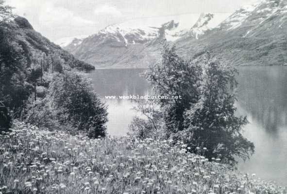 Noorwegen, 1930, Onbekend, Bloemenweelde in Noorwegen. Bloemen en sneeuw in het Hardangerfjord
