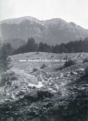 Itali, 1930, Onbekend, De Monte Amaro in het Italiaansch natuurpark