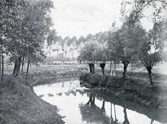 Noord-Brabant, 1930, Onbekend, Langs de Brabantsche Aa. De Aa  waarin boersche knotwilgen hun ranker spiegelbeeld weerkaatsen 