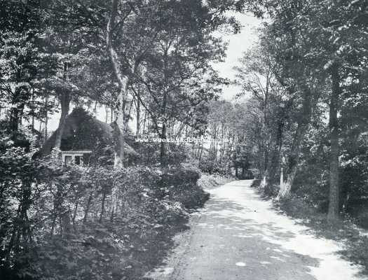 Het Slot aan den Hoef. De weg van Egmond aan den Hoef naar Bergen