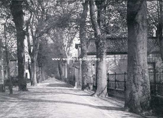 Dorpsstraat te Bergen