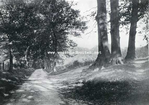 Noord-Holland, 1930, Bergen, Bergen. Aan den voet der duinen