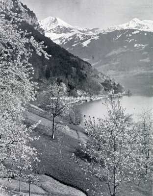 Zwitserland, 1930, Onbekend, Aan het Thuner Meer