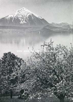 Zwitserland, 1930, Onbekend, Spiez en omgeving. Het Thuner meer met den Niesen