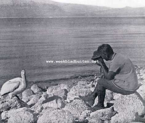 Amerika, 1930, Onbekend, Onze tocht naar Pyramid-Lake, Nevada. Aaan 't filmen van treurende Julie met het reddende touw aan haar poot