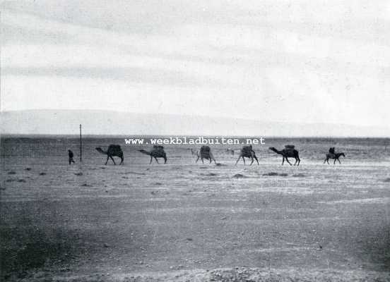Iran, 1930, Onbekend, Zwerftochten door en in Perzi. Perzi en over de wegen trekken de kameelen