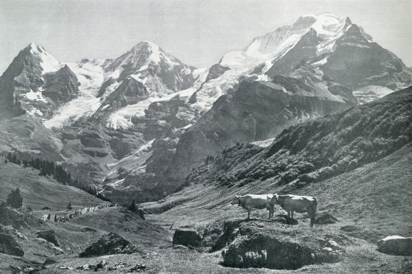 Zwitserland, 1931, Onbekend, IN HET BERNER OBERLAND. EIGER, MNCEL EN JUNGFRAU