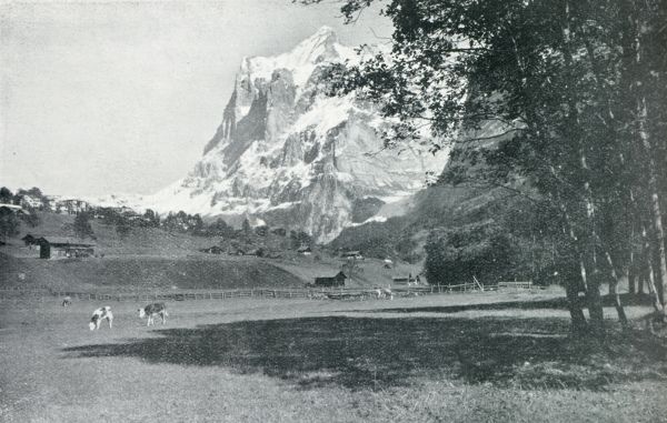 Zwitserland, 1931, Onbekend, IN HET BERNER OBERLAND. DE WETTERHORN BIJ GRINDELWALD