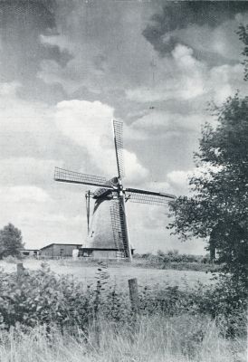 Gelderland, 1931, Wekerom, UIT DEN FOTOWEDSTRIJD. MOLEN BIJ WEKEROM