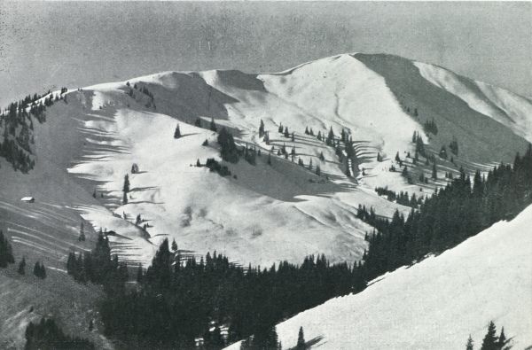 Zwitserland, 1931, Saanenmser, WINTER IN DE BERGEN. DE SKIVELDEN BIJ SAANENMSER