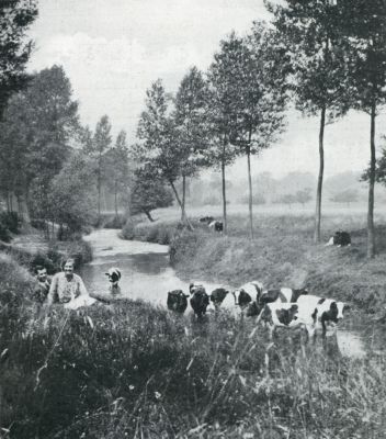 Limburg, 1931, Valkenburg, DE GEUL BIJ VALKENBURG. (In den fotowedstrijd met een eersten prijs bekroond)