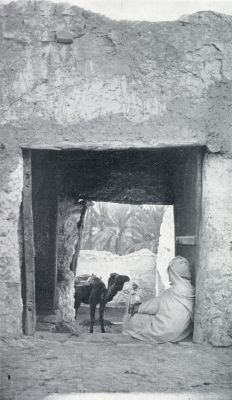 Algerije, 1931, Algiers, CARAVANSERAIL TE ALGIERS. (In den fotowedstrijd met een eersten prijs bekroond)